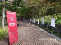 시화로 물든 가을, 함안입곡군립공원으로 놀러오세요!