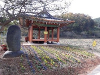 마을마다 꽃이 핀다 장성군 게릴라 가든 화제!