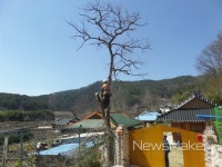 순천국유림관리소, 숲가꾸기패트롤 모집