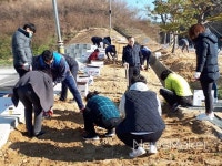 정읍체육공원, 봄맞이 꽃단장 대대적 환경정비