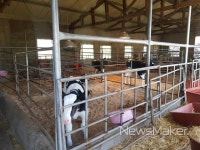 경남도, 사회적 농업 본격 육성..농장 당 총 5억 지원