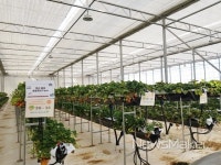 경남도, 사회적 농업 본격 육성..농장 당 총 5억 지원