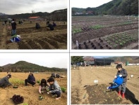 서울시 함께 서울 친환경농장 11일 개장