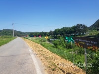 사천강 황화코스모스 꽃길, 색색깔 무늬 옷 입다!