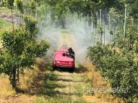 무주군, 농작물 병충해 방역 비상 걸었다