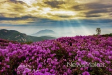 합천 해인사·황매산군립공원 한국관광100선 선정