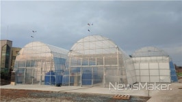 영암군, 청년 경영실습임대농장 임차인 추가모집 外