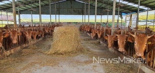 정읍시, 가축 밀집 사육 막고 축사 악취 민원 줄인다