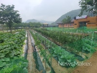 고령 대가야 농촌문화체험특구 재배농작물 기부