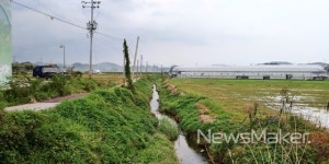 장성군, 94억원 투입 삼서천 수해 방지 총력