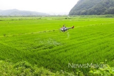 합천군, 벼 병해충 무인헬기 공동방제 추진 외