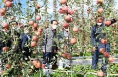 [기획] 거창군, 스마트농업으로 미래농업 선도한다