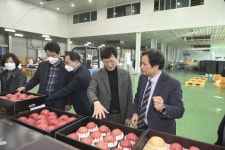 최훈식 장수군수, 설 명절 앞두고 거점산지유통센터 사과 수급 현장방문