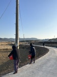 사천시 봉남천 꽃길구간, 유채·금계국 꽃씨 파종 행사