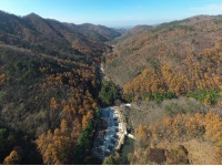 임실군, 성수산 왕의숲 국민여가캠핑장, 20일 개장