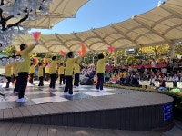 영암군, 월출산국화축제서 체조·댄스 공연