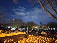 전주시, 덕진공원 야간관광 캔들라이트 콘서트 공연 펼쳐