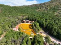 고흥 팔영산 편백 치유의 숲에서 숲속의 작은음악회 18일 공연