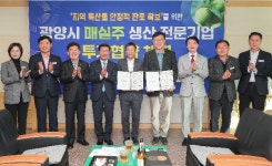 광양시 대표 특산물 매실, 매실주류 생산 전문기업 ㈜더한주류, ㈜섬진강의봄과 지역 농협 투자협약 체결