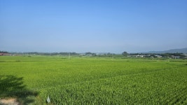 영암군 송내외마을, 2024 전남 유기농 생태마을 사업 선정