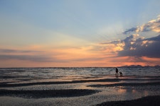 습지도시 고창,  세계 습지의날 기념 행사 22일 열려...세계적 생태도시로 자리매김