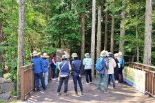 서부지방산림청 제주 국립산림생태관리센터, 10월 17일, 24일 가을 숲에서 힐링 주제로 산림치유 프로그램 운영