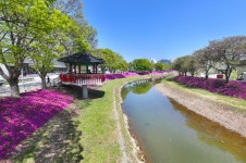 순창군, 민선 8기 공약이행률 87.5%