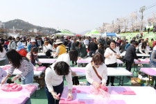 정읍시, 낭만벚꽃, 낭만정읍...정읍 벚꽃축제에서 즐기는 화려한 봄