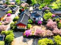 순천시, 천년고찰 세계유산 순천 선암사에서 초등학생 대상으로 세계유산 체험하기