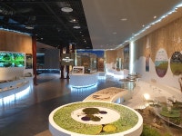 창녕군, 우포늪의 봄 자연과 함께하는 특별한 생태여행 떠나자