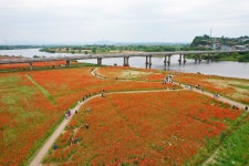 나주시, 영산포 홍어·한우 축제에 13만 넘는 구름 인파 모여