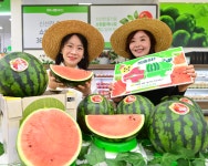 농협유통 하나로마트, 경남 함안 봄 수박