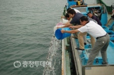 보령시 바다에 24억 투자한다