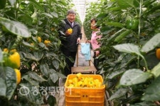 봄철 입맛 파프리카로 찾으세요