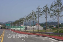 부여군 명품 가로수길 열려