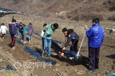 대추나무밭 조성