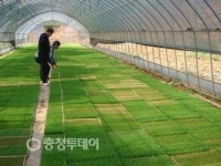보령농기센터 고품질 농축산물 생산 지도