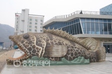 단양 쏘가리 군 대표명물 만든다