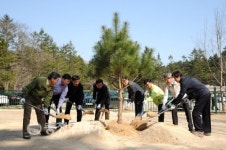 산림청·문화재청 정이품송 후계목 식수