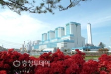 대한민국의 녹색 미래 밝히는 국내 최대 화력발전소