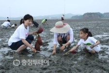 친환경 놀이터, 속동갯벌로 오세요