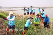 당진 현대제철 모내기 봉사