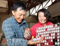 대기업 연봉 안 부러운 누에농부