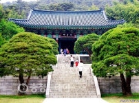 [따블뉴스] 일왕 상징하는 금송, 현충사에 우두커니