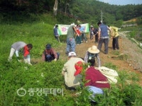 제천 청풍·수산 자드락길 약초동산