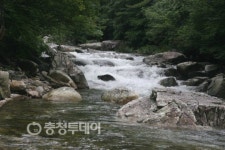 단양의 맨얼굴자연에 반하다