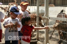 동구 드림센터 가족행복체험