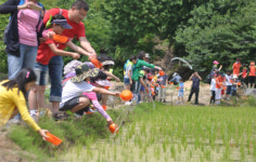 금산군농업기술센터 친환경농업 체험행사를 개최