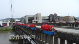 무더위 날리는 꽃길 걸어요