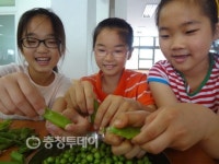 콩까기 재밌어요